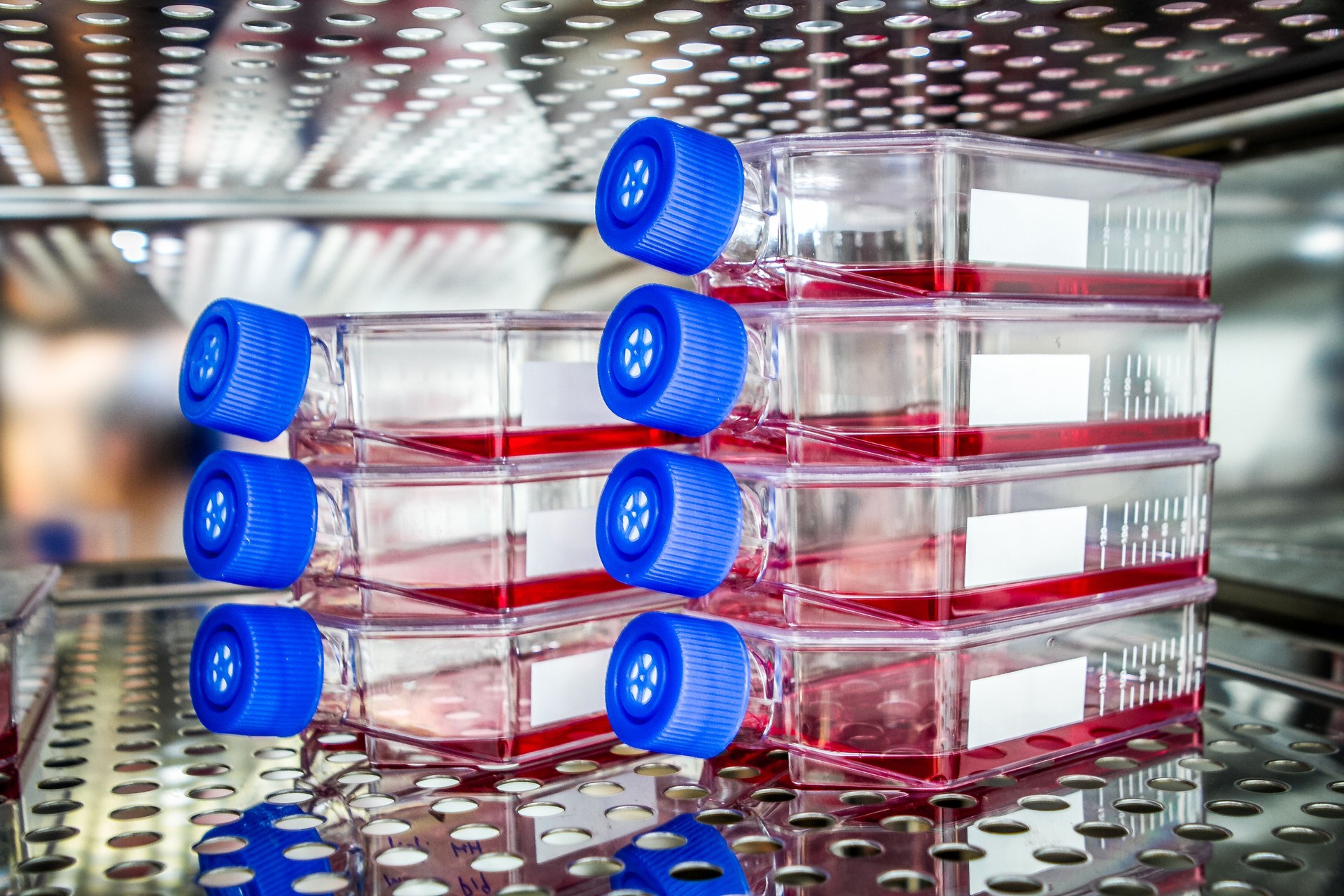 Tissue Culture Flask for Scientific Research