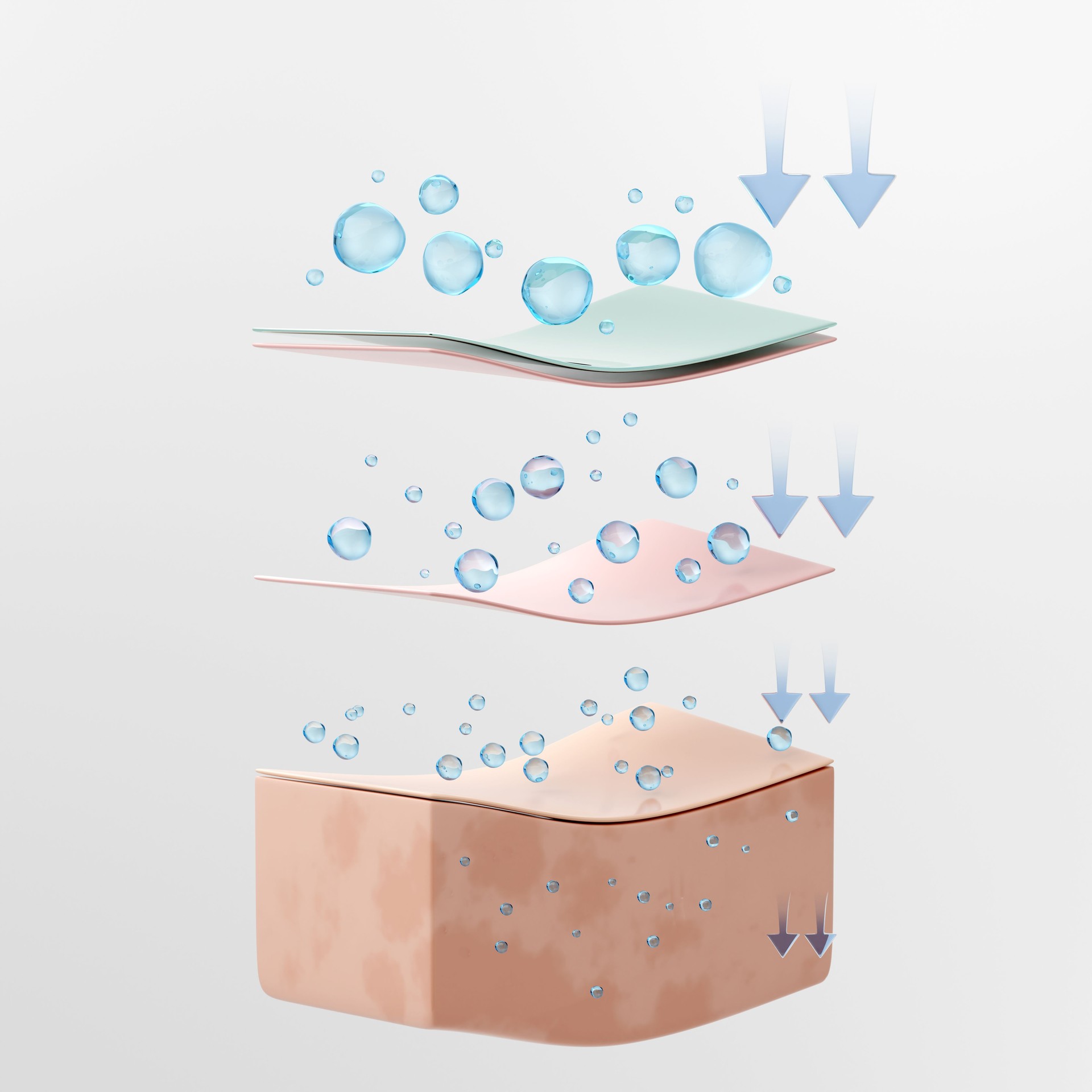 Skin layer and Hyaluronic molecules