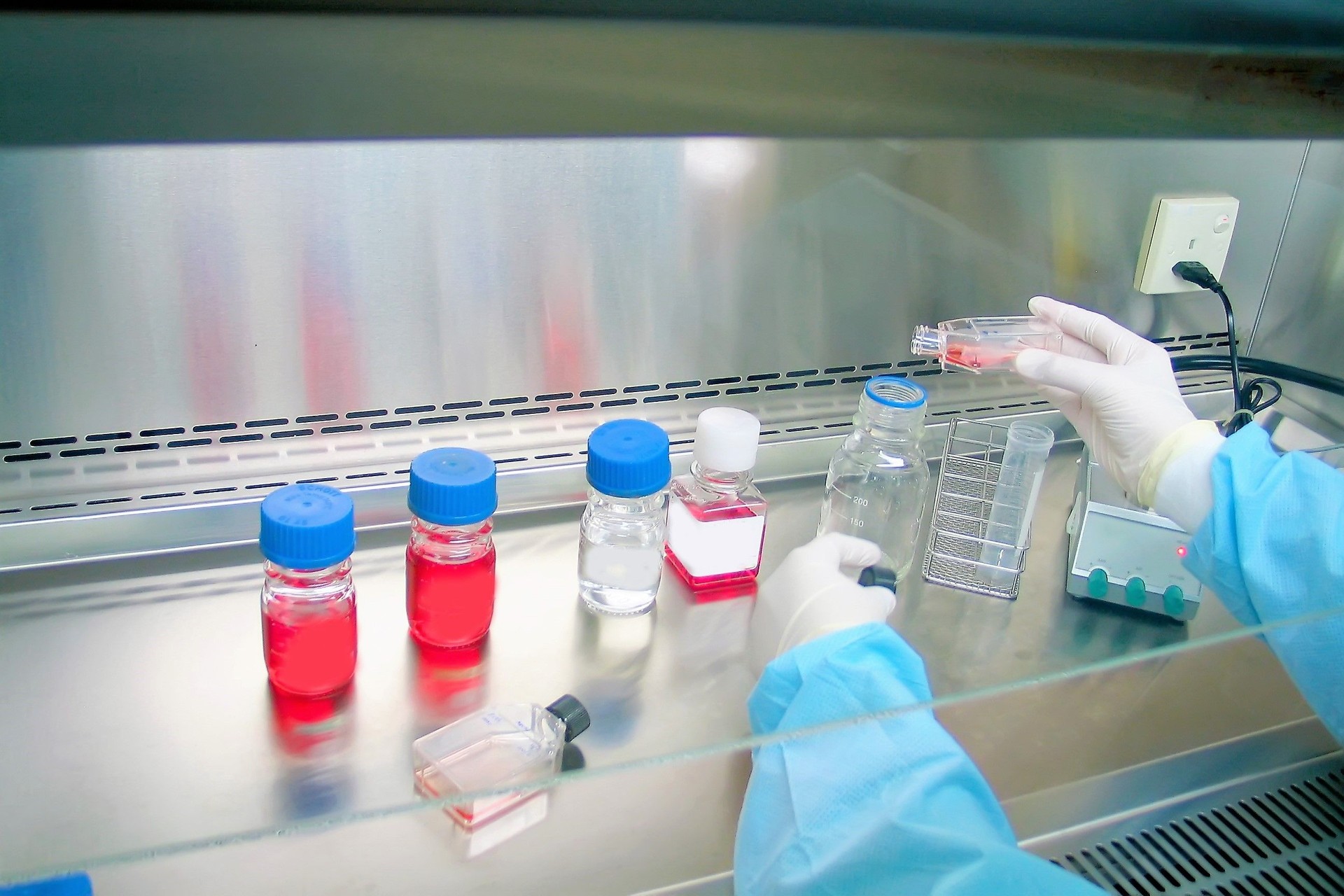 Pipetting and preparing samples in cancer research laboratory
