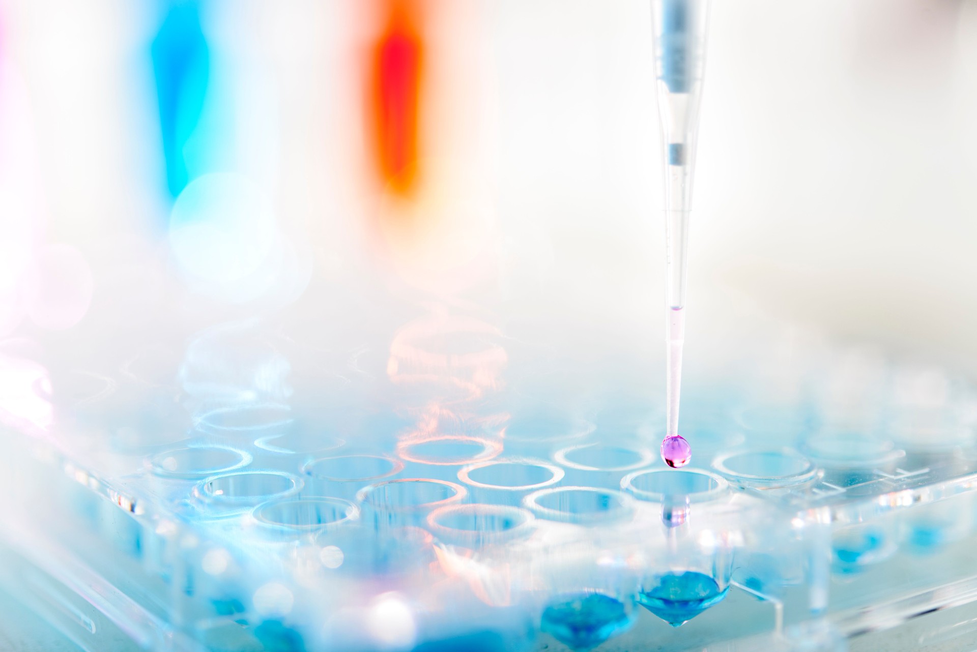 Laboratory