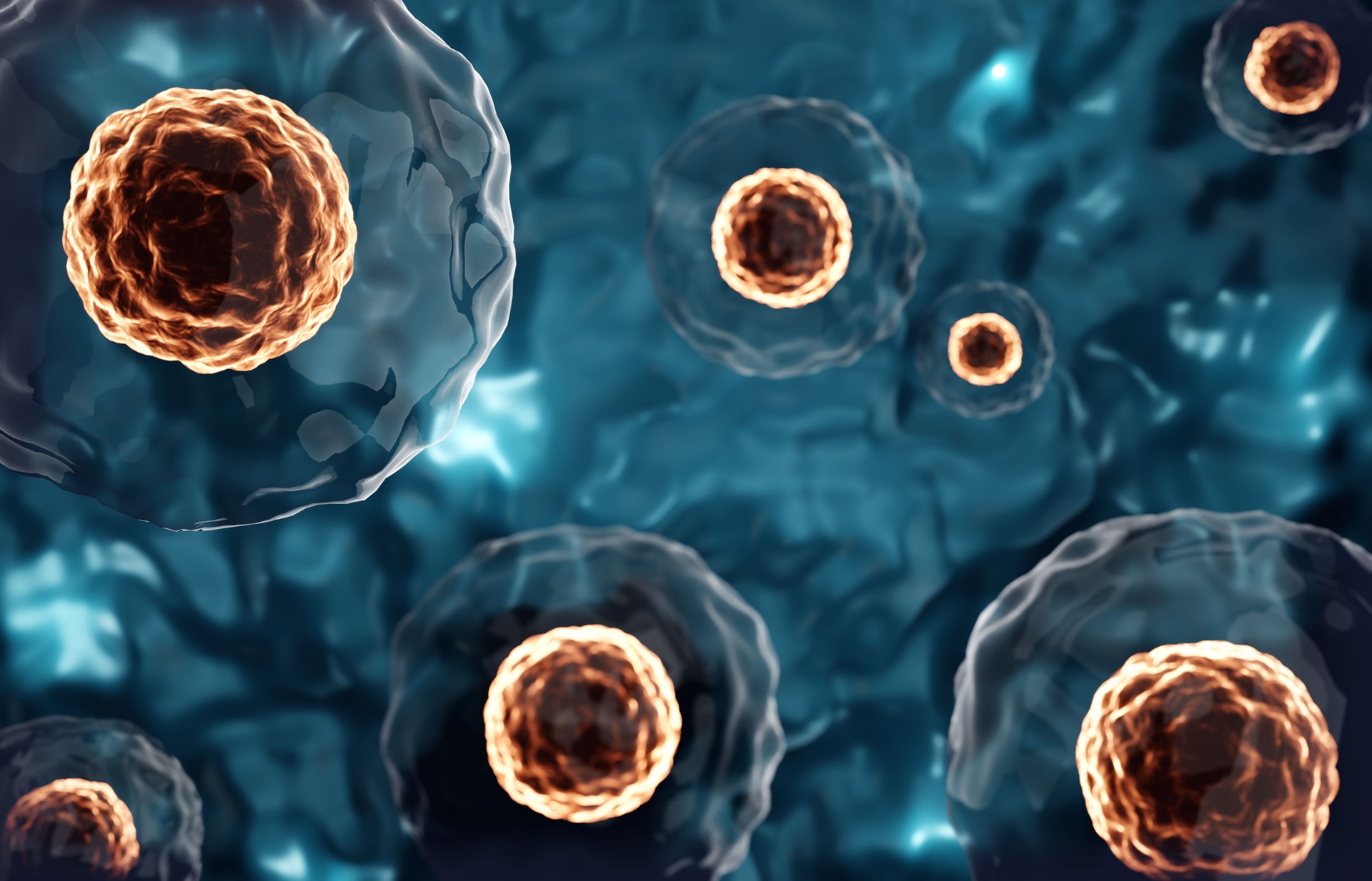 Research of stem cells. Stem cells under a microscope. Cellular Therapy