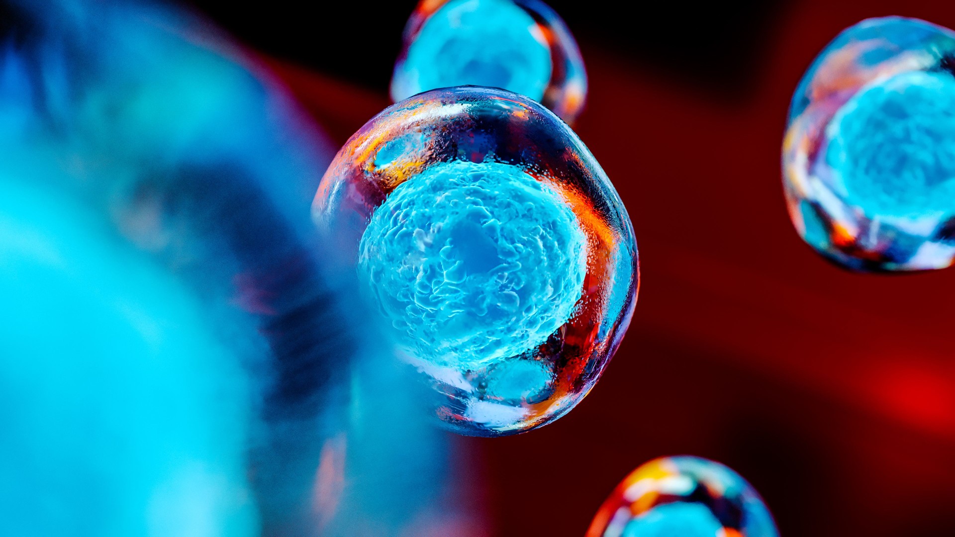 Embryonic stem cells